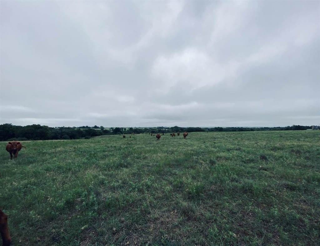 land for sale at 12337 US Highway 62 Elgin 73538 - $585,000
