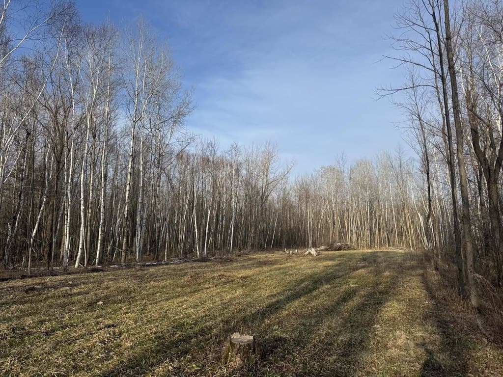 land for sale at Pioneer Dr Abrams - $130,000
