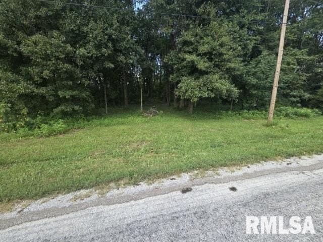 land for sale at E North Ave Bluford - $11,000