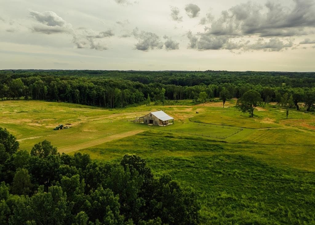 land for sale at 447 County Road 215 Abbeville - $2,250,000