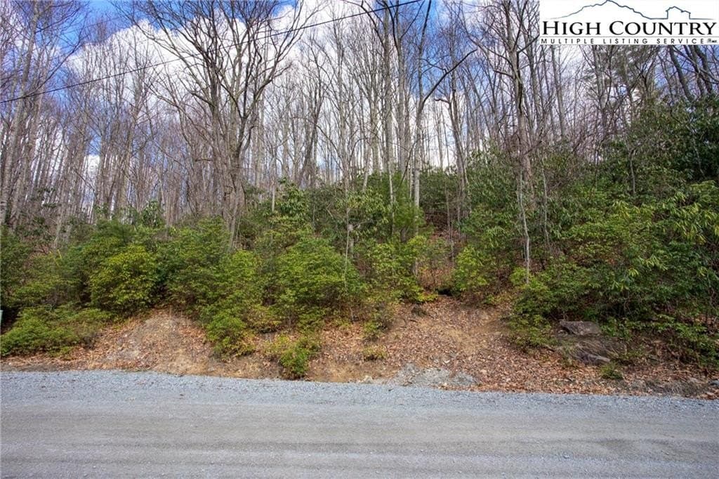 land for sale at 148 Rhododendron Dr Beech Mountain - $15,000
