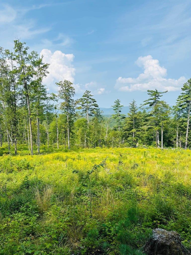 land for sale at 2024 Route 114 Bradford - $378,000