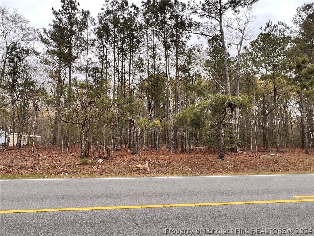 multi-family for sale at 00 N Shannon Rd N Mount Olive 28386 - $50,000