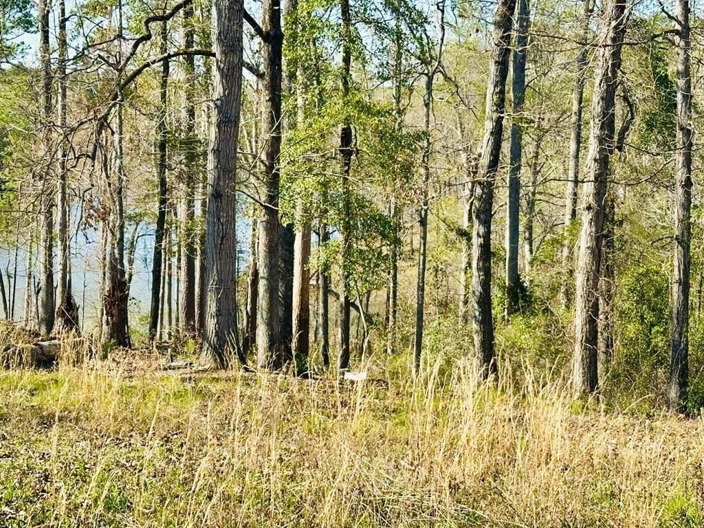 land for sale at 208 Dogwood Cir Abbeville - $50,000
