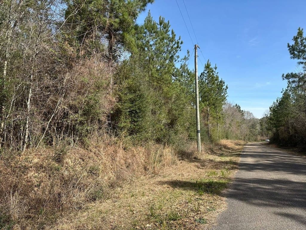 land for sale at Pump Branch Rd Bond - $100,000