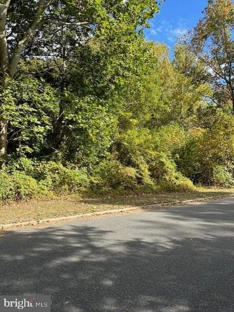 land for sale at 20 Geisinger Ave Arrowhead Lake - $40,000