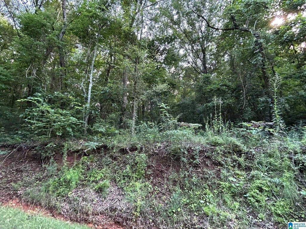 land for sale at County 31 Rd Lot 14 Alexandria - $129,900