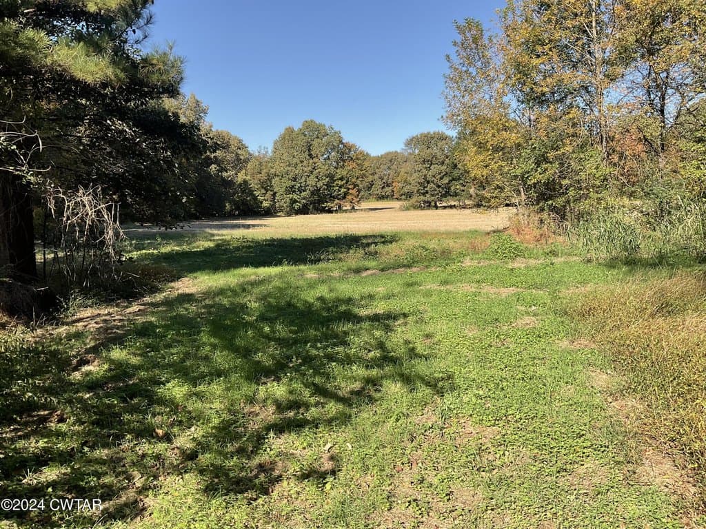 land for sale at 3250 Colvett Rd Alamo - $300,000