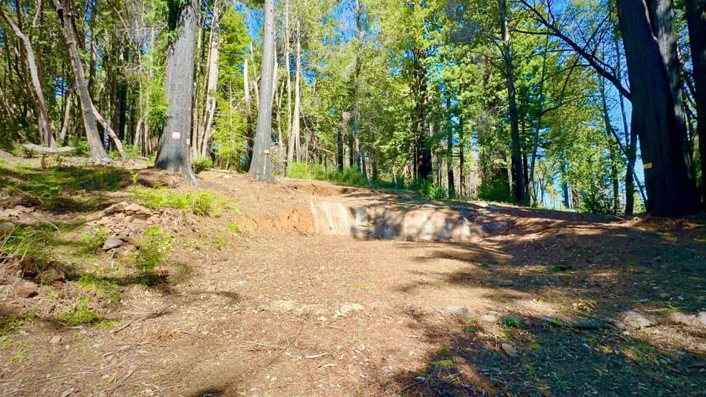 land for sale at 80 Conifer Ln Bonny Doon - $329,000