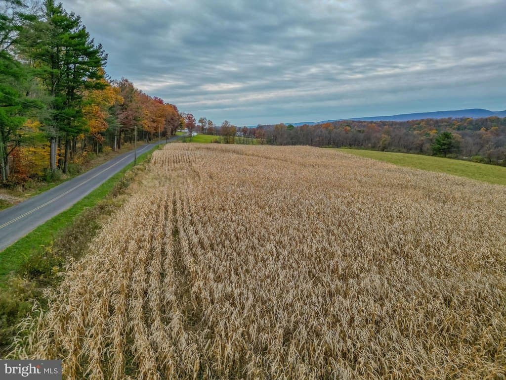 land for sale at Ridge Rd Unit 4 Beaver Springs - $200,000