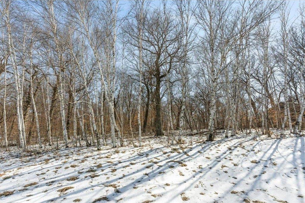 land for sale at 21781 Trestle Ridge Rd Albany - $114,900