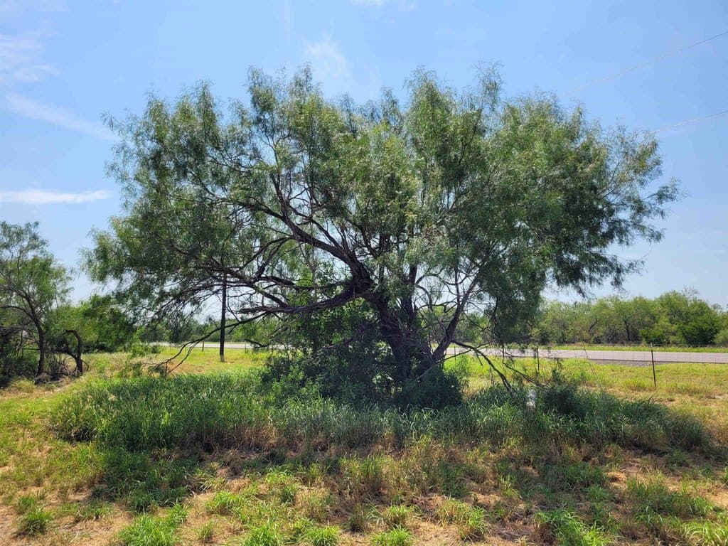 land for sale at 1002 US Highway 359 Aguilares - $204,750