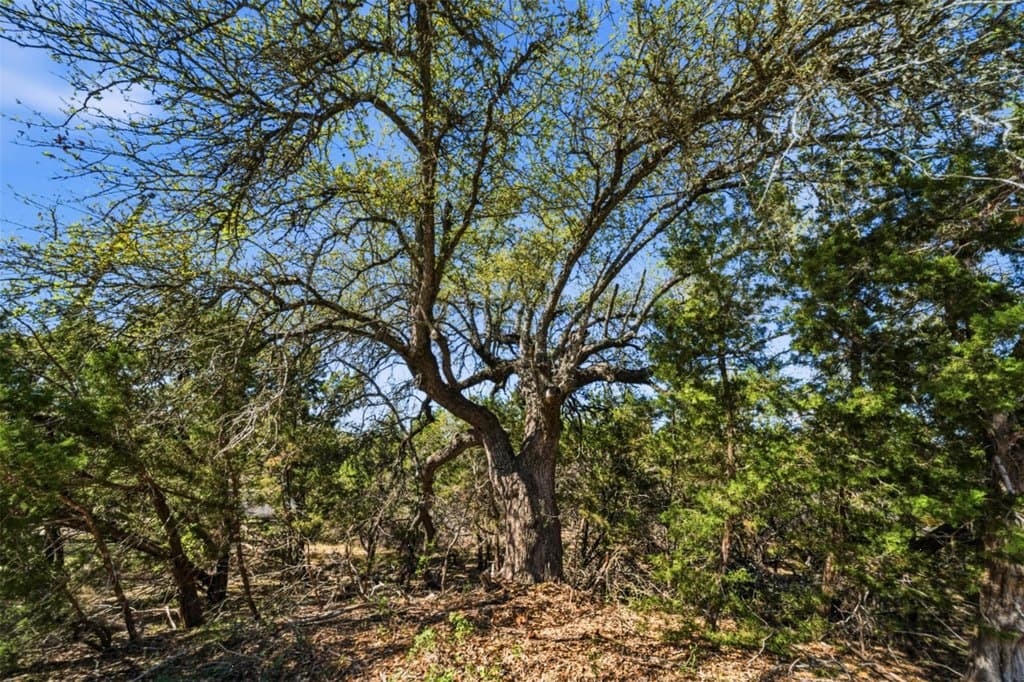 land for sale at Hidden Hills Dr Dripping Springs 78620 - $350,000