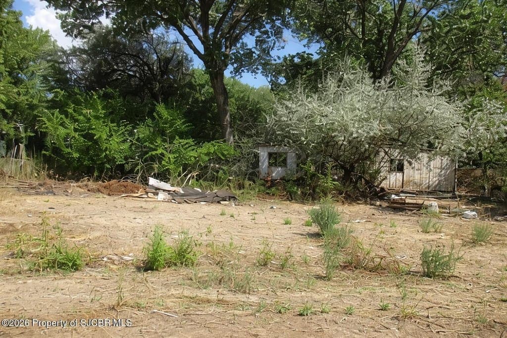 land for sale at 36 Road 4760 Bloomfield - $140,000