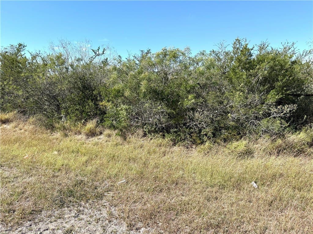 land for sale at 2647 Highway 359 Lot 0 Benavides - $769,000