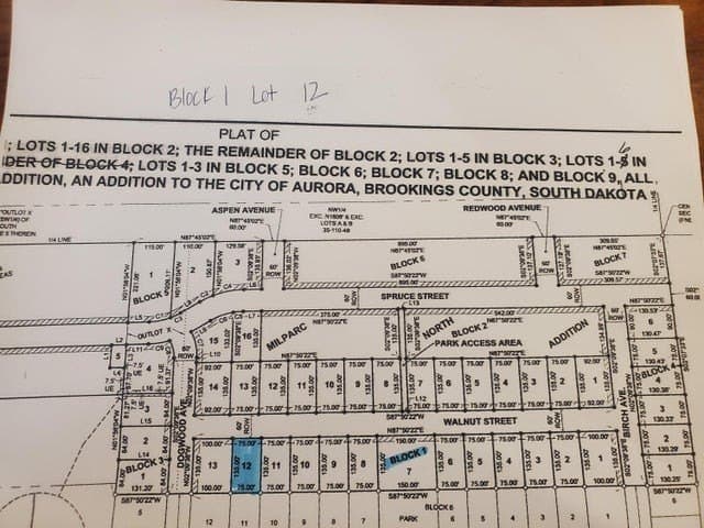 land for sale at B1 Milparc N Addition Unit Walnut St L12 Aurora - $39,900