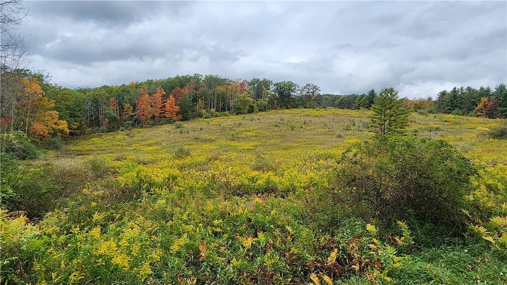 land for sale at Hanyon Rd Canisteo - $1,200,000