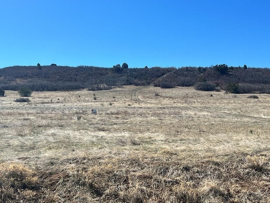 land for sale at Davlin St Colorado City - $3,500