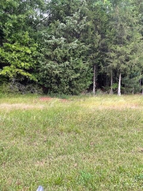 land for sale at Woodglenn Rd Lot 44 Catawba - $99,900