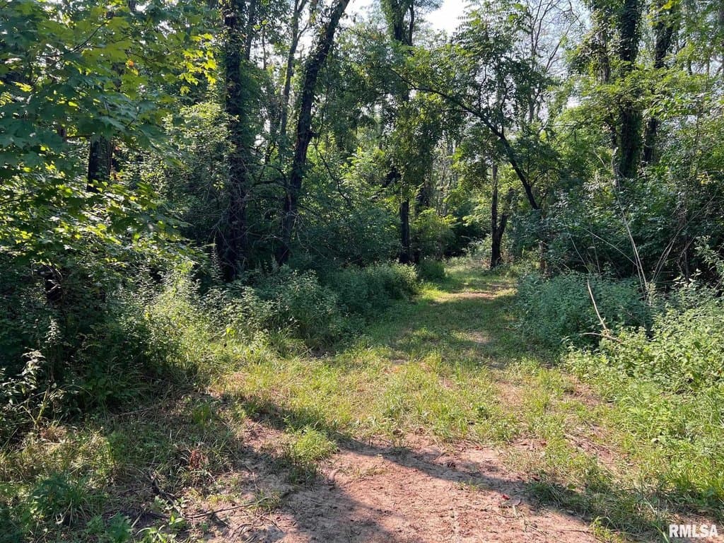 land for sale at Rr N 1800 Rd Blandinsville - $144,500