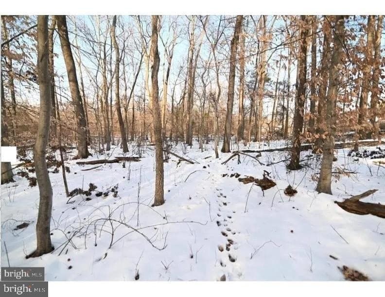 land for sale at Cherryfield Rd Camp Springs - $125,000