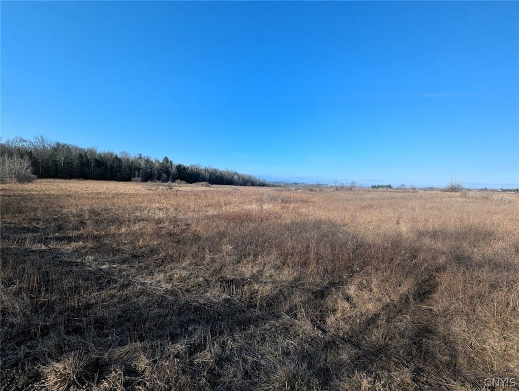 farm for sale at South Rd Addison - $42,900
