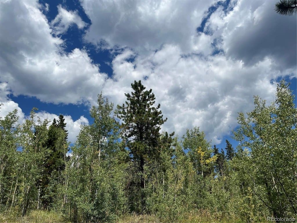 land for sale at 795 Russell Gulch Rd Central City - $175,000