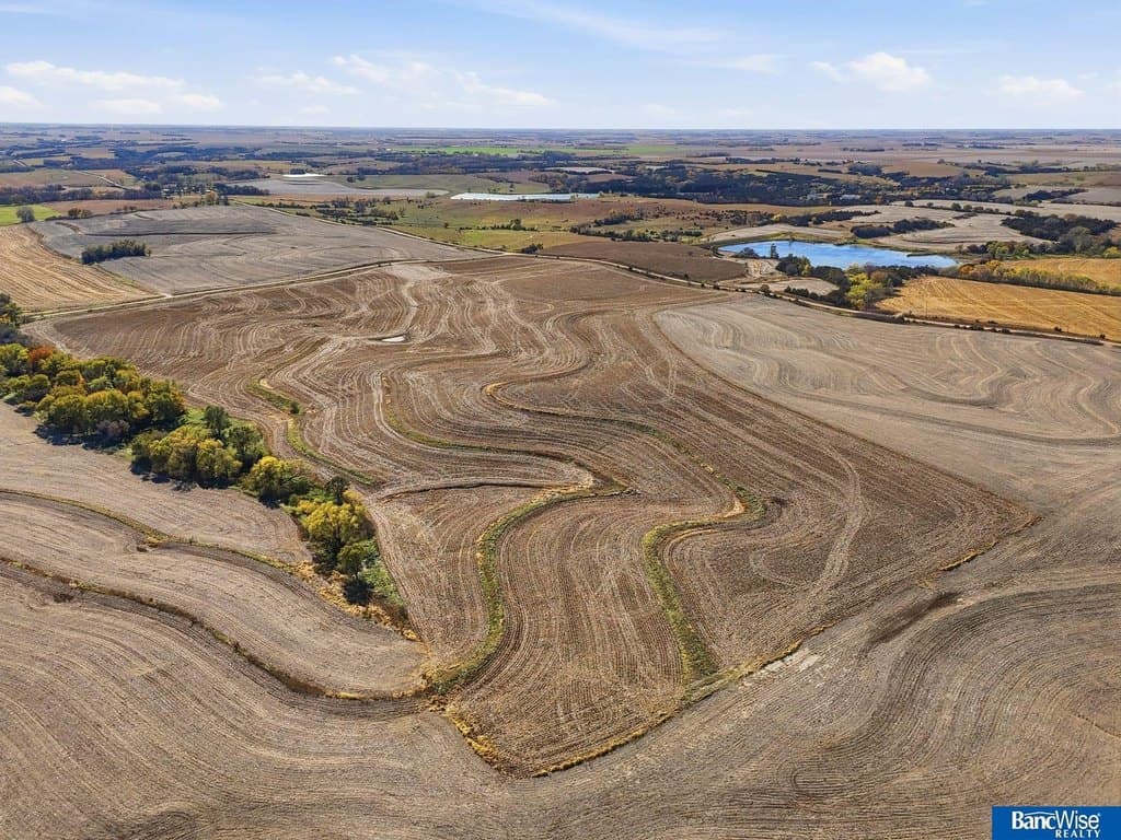 farm for sale at 210 and Little Salt Tbd Rd Bee - $999,750