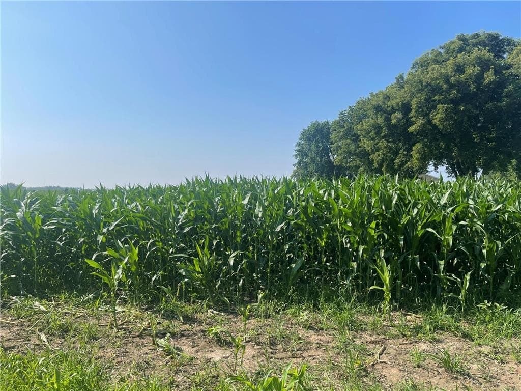 land for sale at 590th Bay City - $475,500