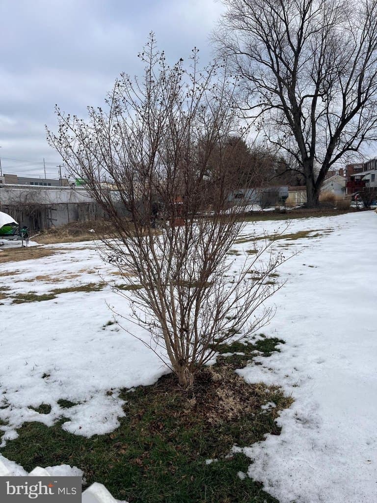 land for sale at Eddystone Ave Lots 3 & 2 Eddystone - $115,000