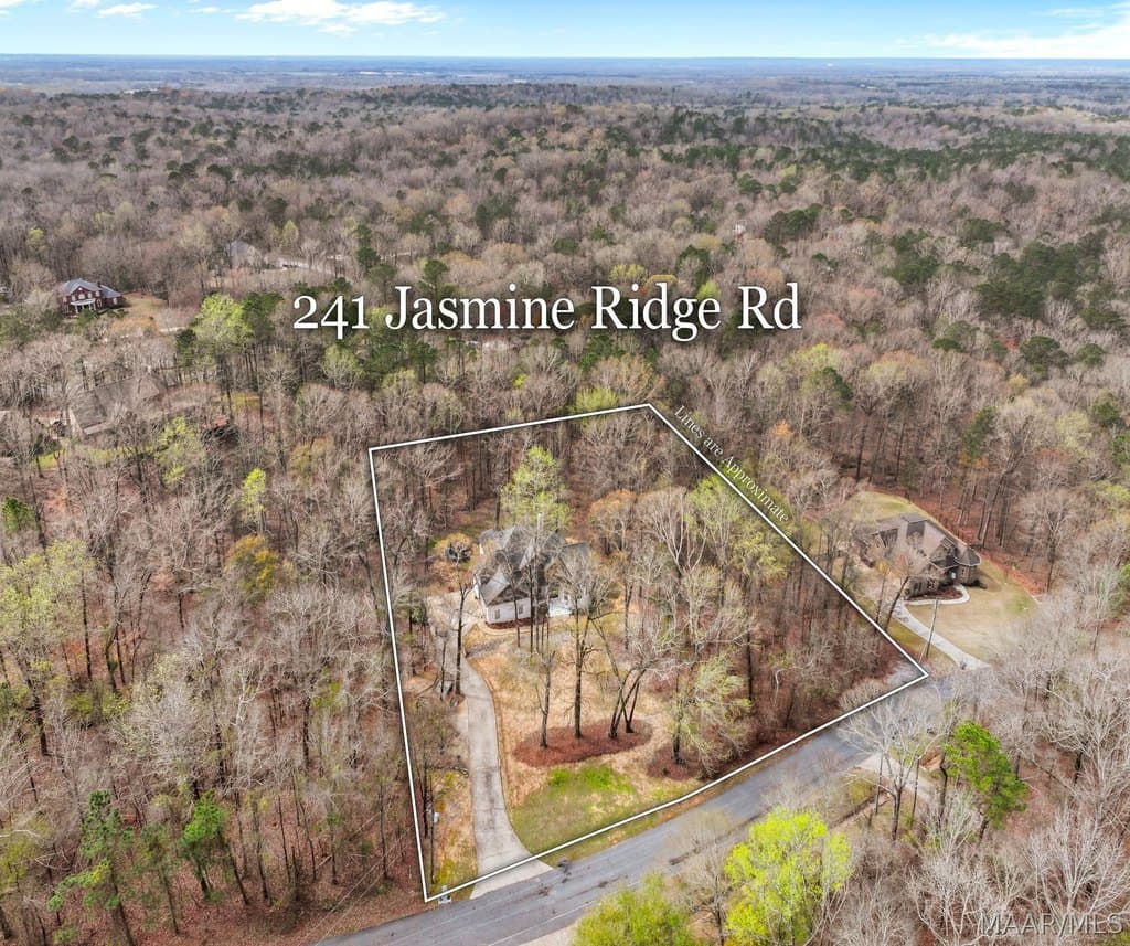 4 bedroom house for sale at 241 Jasmine Ridge Rd Blue Ridge - $475,000