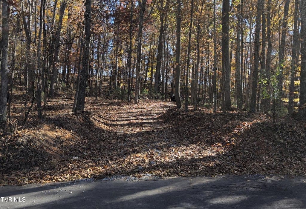 land for sale at 1578 Hunting Hill Rd Bluff City - $475,000