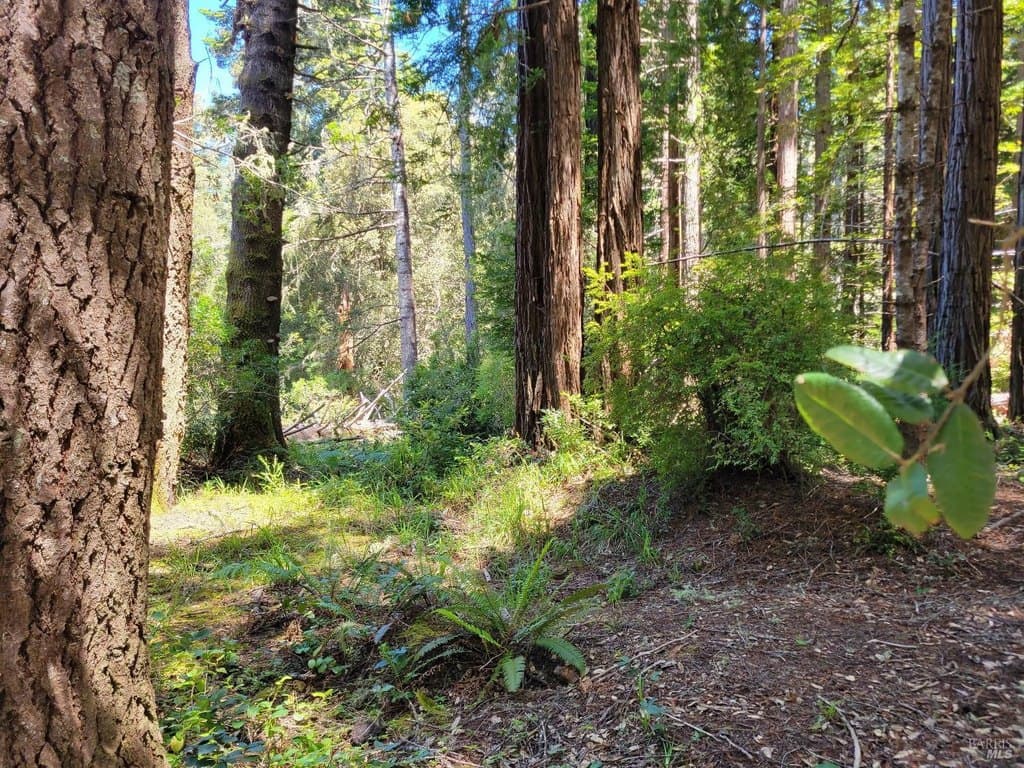 land for sale at 315 Chinquapin Ln Sea Ranch - $68,000