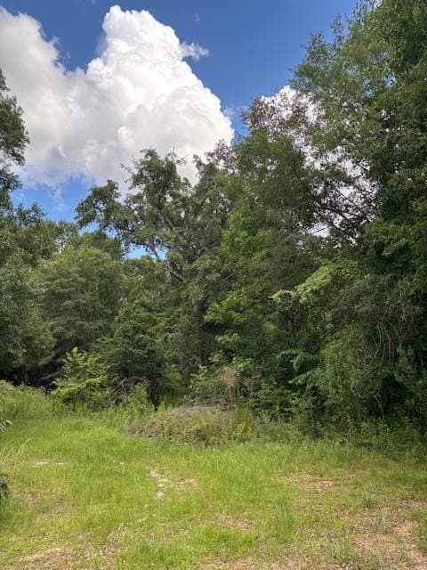 land for sale at 201 Worthwood Rd Lot 25 Albany - $32,000