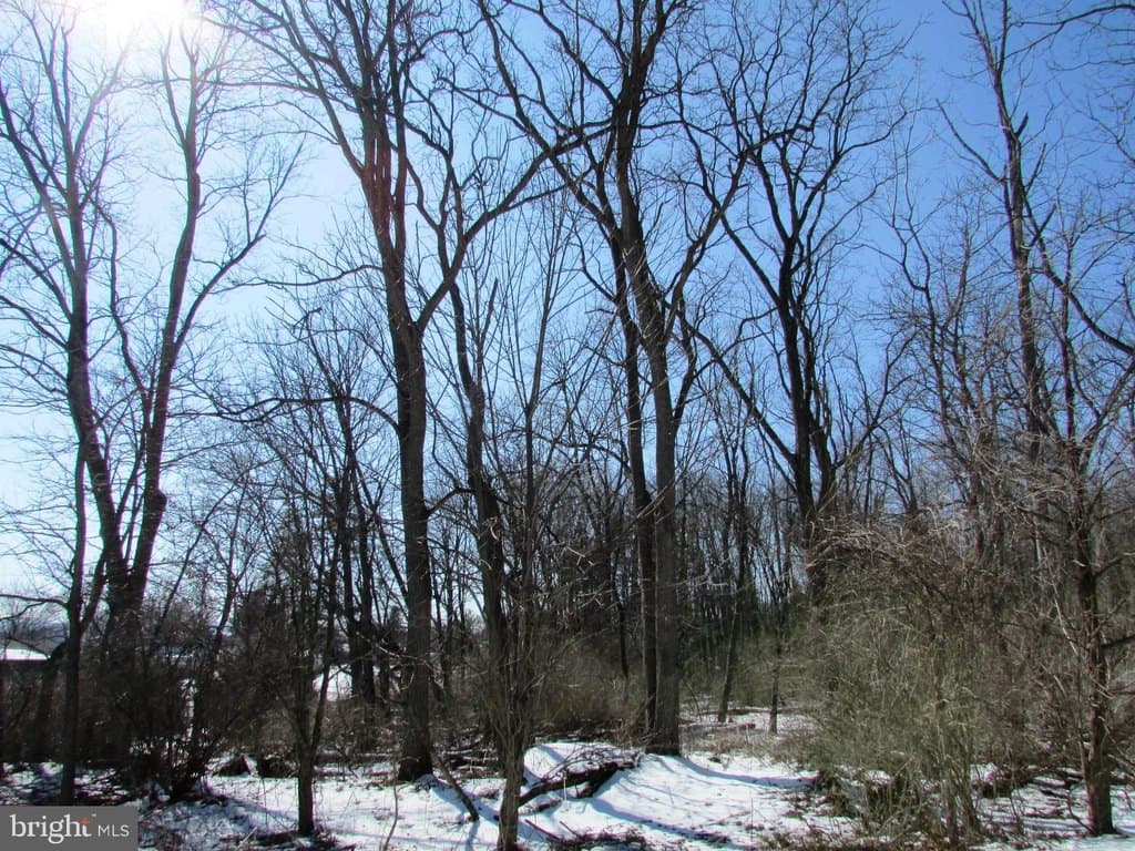 land for sale at Emery Rd Lot On Centre Hall - $99,000
