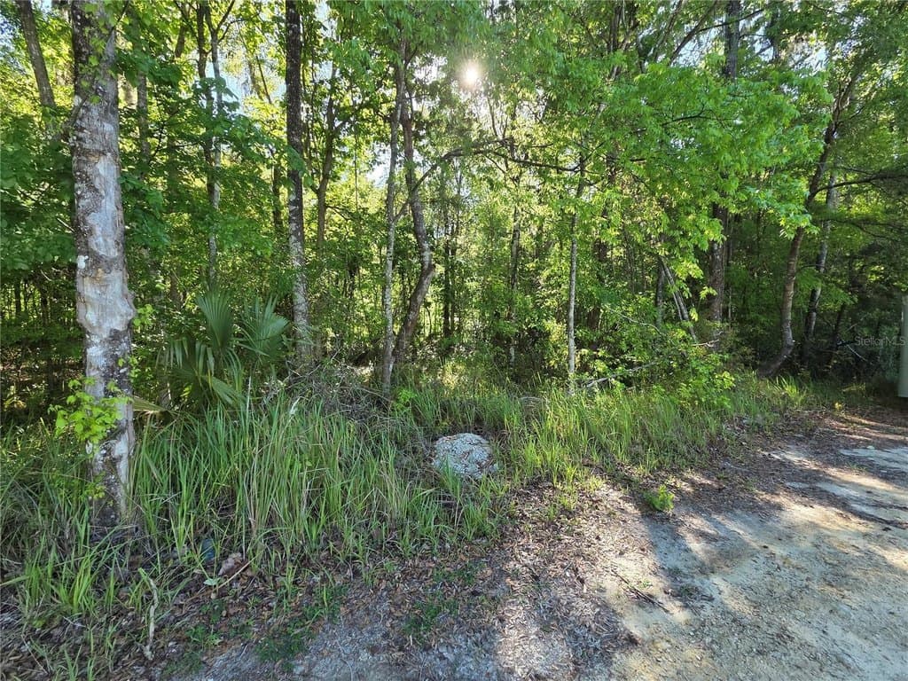 land for sale at SE 42nd Ct Belleview - $21,500