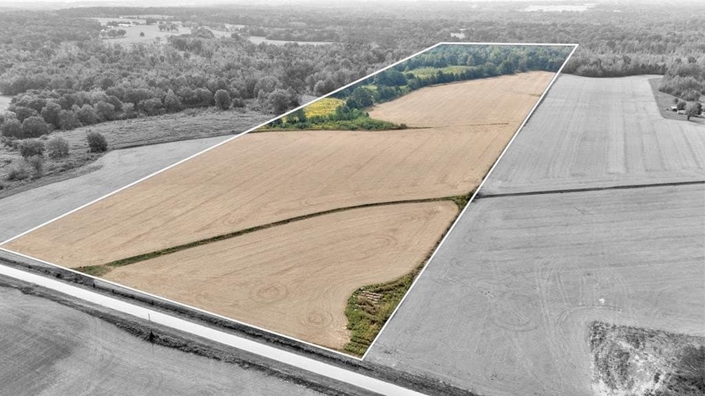 land for sale at 123456 County Road 208 Abbeville - $185,000