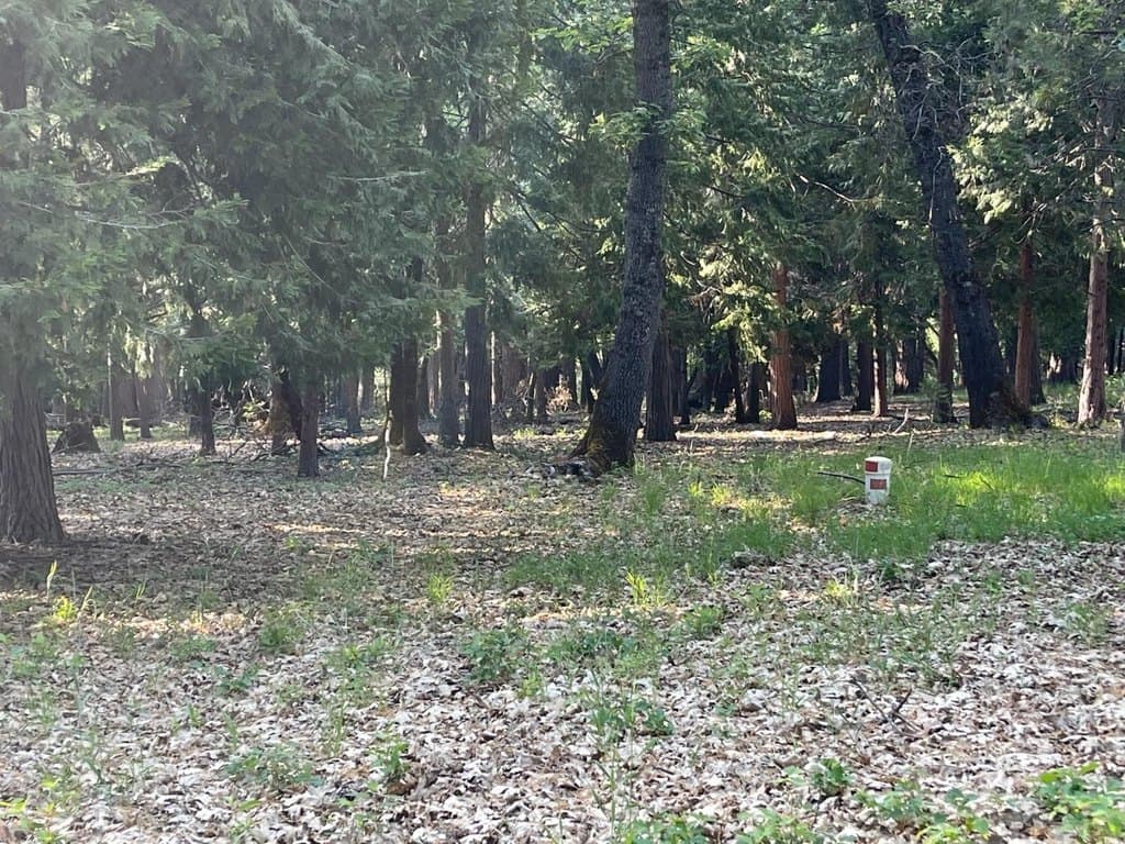 land for sale at 13117 Madrone Forest Dr Nevada City 95959 - $190,000