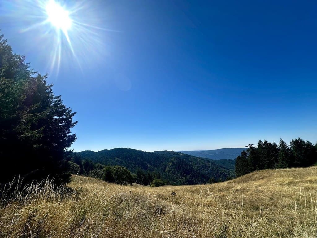 land for sale at 3500 Old Three Creeks Blue Lake - $549,000