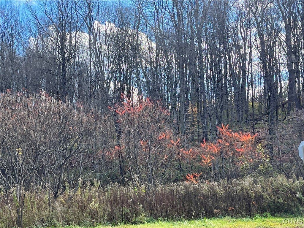 farm for sale at Nys Route 28 Barneveld - $34,900