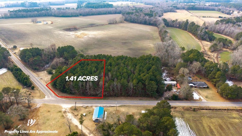 land for sale at Plowden Mill Rd Alcolu - $20,000