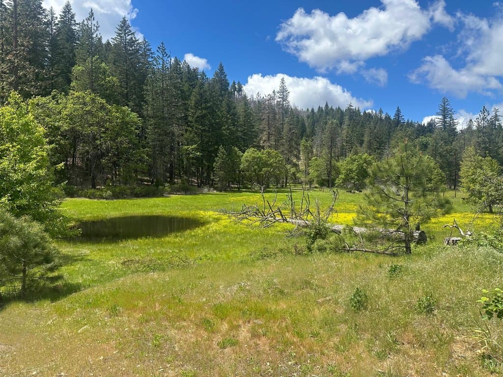 land for sale at 1961 W Hettenshaw Rd Alderpoint - $189,000