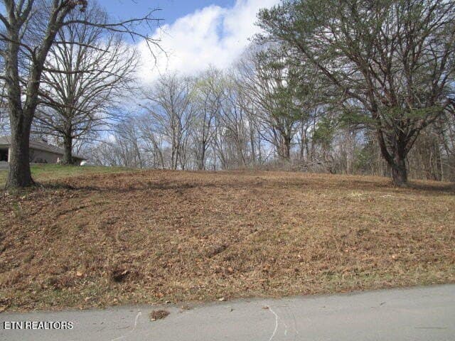 land for sale at 285 McKinney Rd Blaine - $89,900