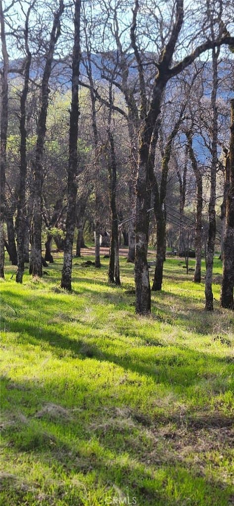 land for sale at 13566 Helltown Parcel 2 Butte Creek Canyon - $272,500