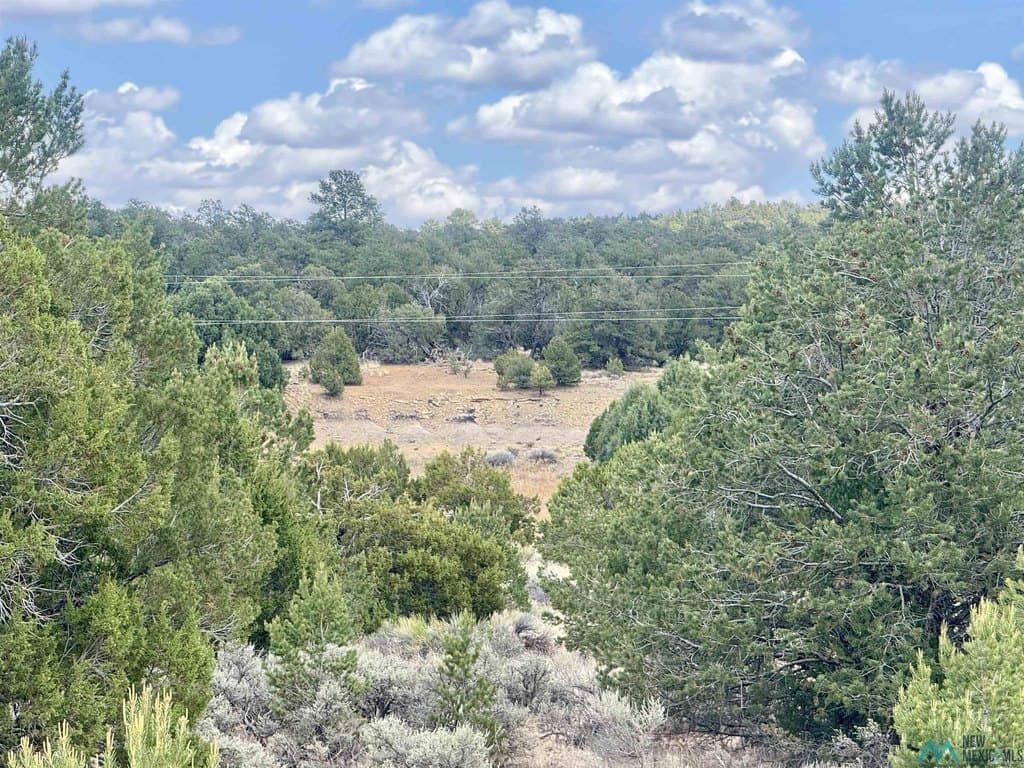 land for sale at Adams Lk Candy Kitchen - $41,000