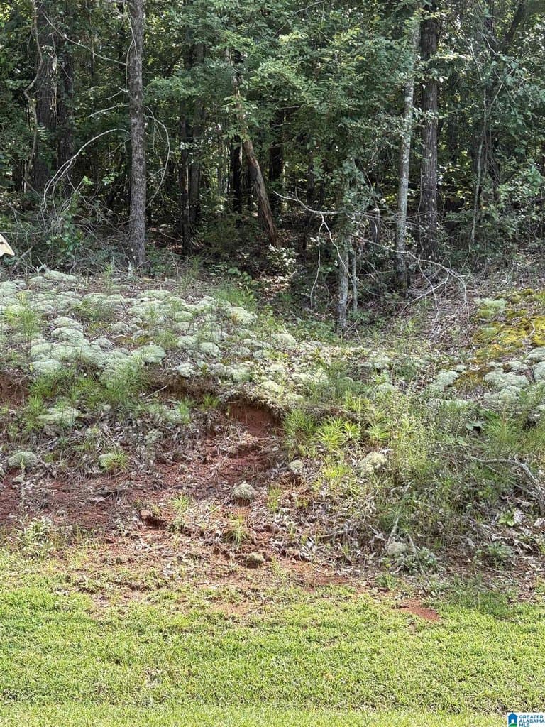 land for sale at 2242 Westwood Dr Lot 11 Alexandria - $10,000