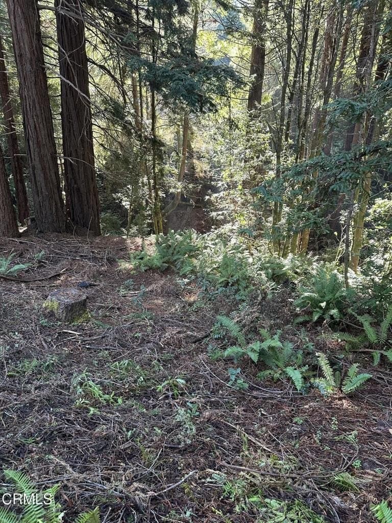 land for sale at 17500 Redwood Springs Dr Fort Bragg 95437 - $225,000