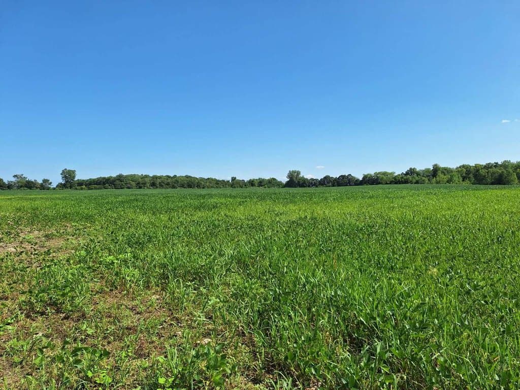 land for sale at County Road 57 Butler - $226,000
