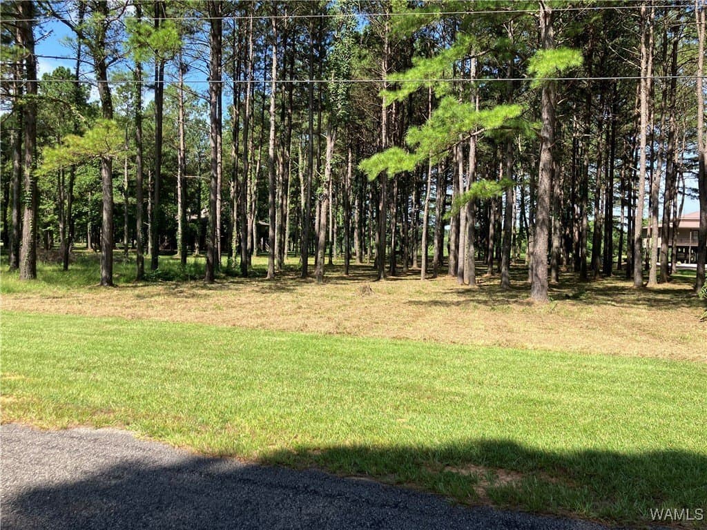 land for sale at Cypress Point Dr Lot 21 Akron - $57,000
