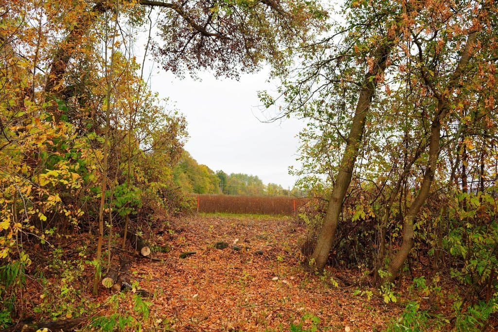 land for sale at County As Rd Lot 2 Adell - $299,900